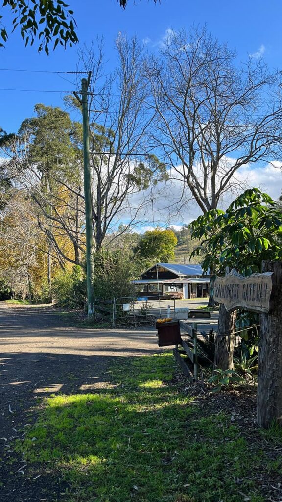 A rustic wooden sign reading "Rainforest Gateway" marks the entrance to a property with a building and tall trees under a bright sky.
