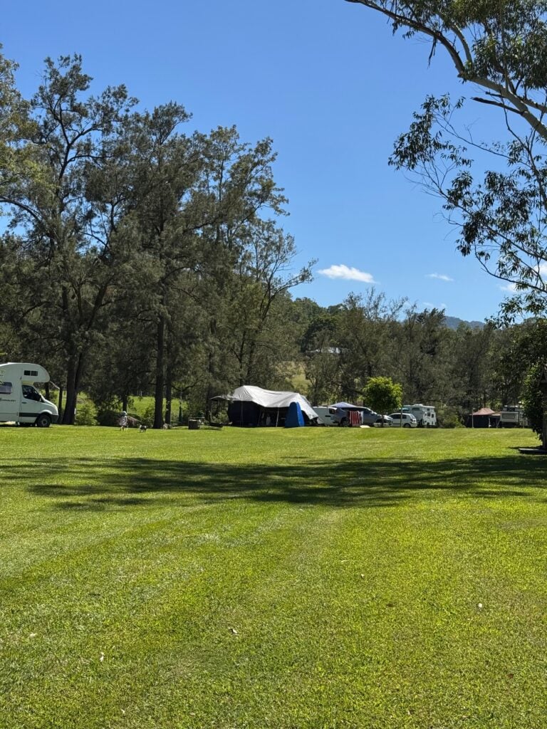 A sunlit, grassy campground featuring scattered tents and campervans nestled among tall, green trees under a clear blue sky.