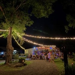 An outdoor nighttime event featuring a large tree wrapped in fairy lights that stretch toward a lit pavilion.