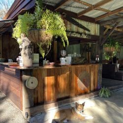 Coffee shop kc
