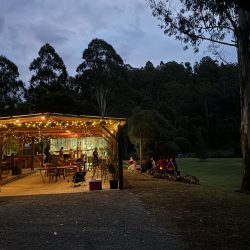An outdoor rustic pavilion illuminated by warm string lights at dusk