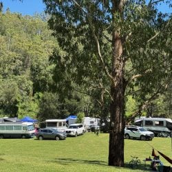A grassy campground filled with various recreational vehicles, camper vans, and SUVs parked near a line of trees at the base of a forested hill.