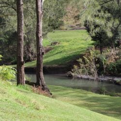 A peaceful park scene featuring a slow-moving river winding through a grassy valley, with tall evergreen trees in the foreground and a solitary wooden picnic table on the far bank.
