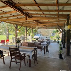 A long, shaded outdoor event space decorated with yellow balloons and string lights, featuring several wooden dining tables set with white linens.