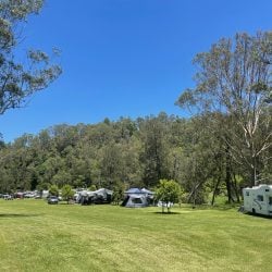 A wide, grassy campground under a bright blue sky, featuring several tents and campervans parked near a dense, forested hillside.