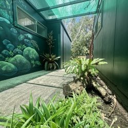 A narrow outdoor walkway with dark green walls, a mural of mossy rocks, and lush tropical plants under a green mesh sunshade.