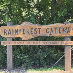 A rustic wooden sign with "RAINFOREST GATEWAY" carved in black letters.